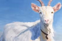 Tháng 2 âm lịch hoan hỷ: 4 con giáp sự nghiệp thăng hoa