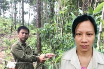 Hành trình phá án: Xác người bên bờ suối và cuộc “giải mã” ly kỳ