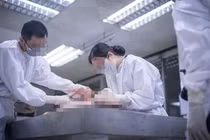 Cái chết của cậu bé mồ côi và bí ẩn phía sau tội ác