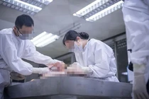 Cái chết của cậu bé mồ côi và bí ẩn phía sau tội ác