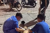 Vụ đâm chết người trên phố Hà Nội: Tài xế taxi có dính tội?