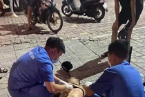 Vụ đâm chết người trên phố Hà Nội: Tài xế taxi có dính tội?