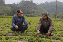 Đặc sản đất Việt: Trung Quốc, Ấn Độ bao mua, Đài Loan, Malaysia xếp hàng chờ tới lượt