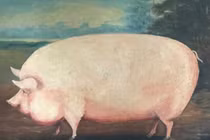 Nửa cuối Rằm tháng 7 âm, 3 con giáp mở cửa đón lộc, giàu viên mãn