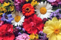 Sinh vào 6 ngày Âm lịch, hưởng trọn lộc trời, càng về già càng có phúc