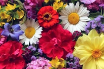 Sinh vào 6 ngày Âm lịch, hưởng trọn lộc trời, càng về già càng có phúc