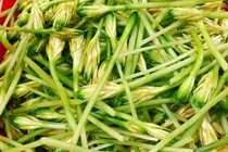 Loại hoa năm chỉ có 1 lần được chế biến nhiều món ăn lạ