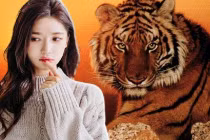 Tuần mới (16/5-22/5/2022): 3 con giáp vét hết lộc thiên hạ, tiền tiêu rủng rỉnh