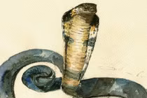  Bước sang tháng 7 cô hồn, ai xui xẻo mặc ai, top 3 con giáp vẫn giàu có sung túc