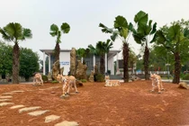 Chết cười linh vật Tết con Hổ: Chỗ khen hết lời, nơi chê “sấp mặt“