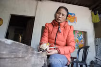 Làng làm đũa cau Nàng Rưng tất bật đón Tết