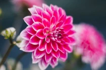 3 con giáp tháng 5 vận khí vượng phát, tháng 6 tin vui đến nhà