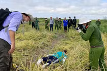  Hà Nội: Giăng điện bẫy chuột bảo vệ lúa gây chết người