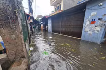 Hà Nội: Mưa lớn khiến nhiều tuyến phố ngập, cây đổ đè ô tô