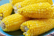 Những người cần thận trọng khi ăn ngô 