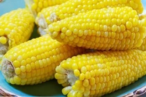 Những người cần thận trọng khi ăn ngô 