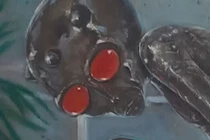 Hé lộ chi tiết chấn động toàn cầu về vụ tai nạn UFO năm 1996 