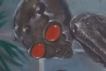 Hé lộ chi tiết chấn động toàn cầu về vụ tai nạn UFO năm 1996 