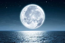 Phát hiện thứ “lạ lùng” trên Mặt Trăng, chuyên gia giải mã chấn động 