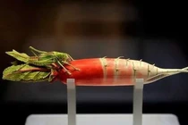 Đang cuốc đất, vô tình đụng trúng hai “bảo vật thất truyền"