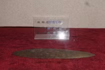 Học sinh nhặt được chiếc lá lạ, chuyên gia phán: “Bảo tồn ngay!” 