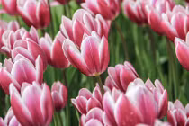 Tài lộc quấn thân: Người sinh 3 khung giờ này Thần Tài sủng ái 