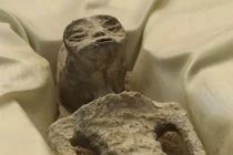 Nóng: Cận cảnh xác “người ngoài hành tinh” được trưng bày ở Mexico