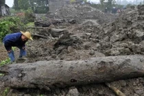 Lão nông đào khúc gỗ khổng lồ, cảnh sát lập tức phong tỏa hiện trường