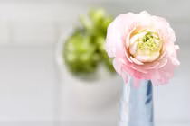 Sinh 4 ngày Âm lịch này, nam hay nữ đều có phúc khí sâu dày