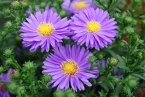 Người có ngày sinh Âm lịch kết thúc bằng 3 số này của nả tràn trề