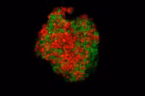 Phát hiện chấn động về “thế giới trong lòng đất”: Khác xa với tưởng tượng! 