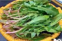 Loại cây mọc hoang là vua thải độc, tốt cho người mắc bệnh xương khớp