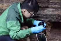 Mở mộ cổ 3.000 năm, chuyên gia “tái mặt” thấy thứ lạ lùng... 