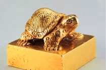 Ngư dân nhặt được “con rùa nhỏ”, rơi lệ khi biết giá trị thật