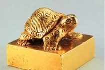 Ngư dân nhặt được “con rùa nhỏ”, rơi lệ khi biết giá trị thật