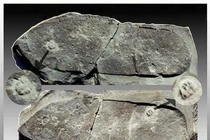 Top bí ẩn muôn đời không lời giải khiến chuyên gia “điên đầu”