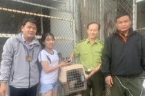 Người dân TP HCM bàn giao rái cá quý hiếm: Loài có trong Sách Đỏ