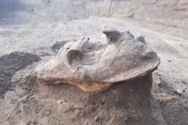 Khai quật mộ cổ 2.000 tuổi, sững người thấy quái thú “trấn yểm”