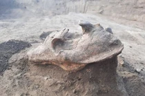 Khai quật mộ cổ 2.000 tuổi, sững người thấy quái thú “trấn yểm”