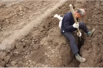 Trộm đồ trong mộ vị quan nhà Tống, lão nông bất ngờ hứng tai họa