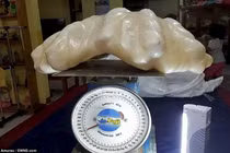 Cất tảng đá lạ dưới gầm giường, ai ngờ là “báu vật” nghìn tỷ