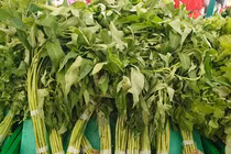 Loại rau rẻ như bèo ở Việt Nam, sang Mỹ giá gấp hàng chục lần 