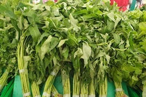 Loại rau rẻ như bèo ở Việt Nam, sang Mỹ giá gấp hàng chục lần 