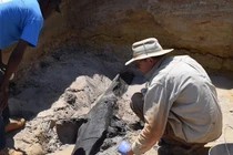 Phát hiện vật thể lạ 500.000 tuổi: Lộ bí mật tổ tiên loài người