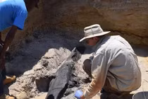 Phát hiện vật thể lạ 500.000 tuổi: Lộ bí mật tổ tiên loài người