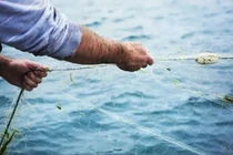 Đồ cổ vô tình mắc lưới ngư dân, chuyên gia cúi đầu... cảm tạ 