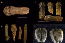 Phát hiện “kho báu xuyên không” trong con tàu ma 6 thế kỷ