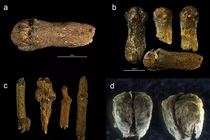 Phát hiện “kho báu xuyên không” trong con tàu ma 6 thế kỷ