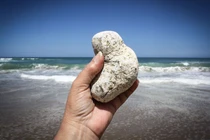 Vô tình đụng trúng cục đá tỏa hương ngoài biển, đổi đời trong nháy mắt 