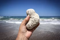 Vô tình đụng trúng cục đá tỏa hương ngoài biển, đổi đời trong nháy mắt 